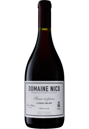 Domaine Nico Domaine Nico Le Paradis Pinot Noir 2018