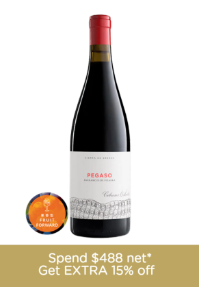 Pegaso Pegaso Pizarra 2021