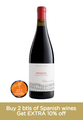 Pegaso Pegaso Pizarra 2021