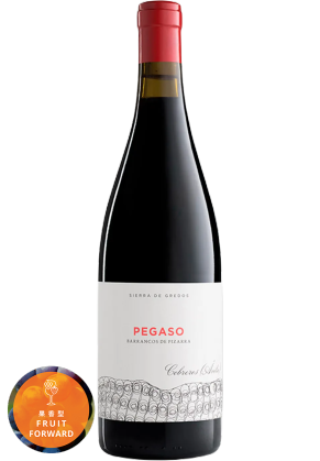 Pegaso Pegaso Pizarra 2021