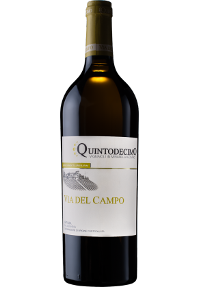 QUINTODECIMO Quintodecimo Via del Campo Falanghina Irpinia 2022