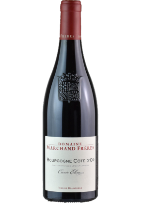 Domaine Marchand Freres Domaine Marchand Freres Bourgogne Cote D'Or Cuvee Eline Rouge 2021