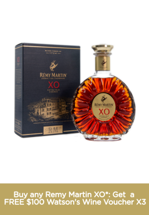 Remy Martin Remy Martin XO image