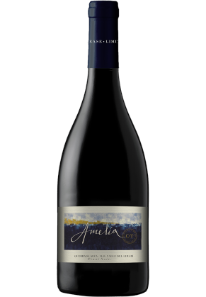 Amelia Amelia Quebrada Seca Vineyard Pinot Noir 2022 (limited Time Offer Item – Other Promotion Offers And W Rewards Are Not Applicable)