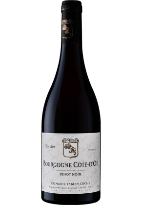 FABIEN COCHE Domaine Fabien Coche Bizouard Bourgogne Rouge 2021