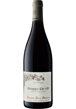 PIERRE GUILLEMOT Domaine Pierre Guillemot Bourgogne Cote D'or 2021 (limited Time Offer Item – Other Promotion Offers And W Rewards Are Not Applicable)