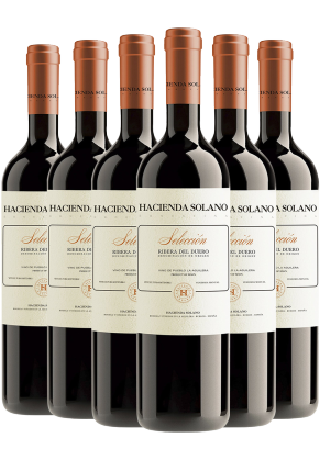 Hacienda Solano Hacienda Solano Seleccion 2023 - 6 Bottle Pack (Limited time offer item – other promotion offers and W Rewards are not applicable)