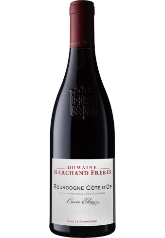 Domaine Marchand Freres - Domaine Marchand Freres Bourgogne Cote D'or Rouge 2022