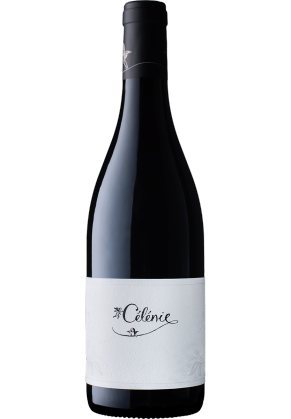 TERRES DE PHILEANDRE Les Terres de Phileandre Bourgogne Hautes Cotes de Nuits Rouge 2022