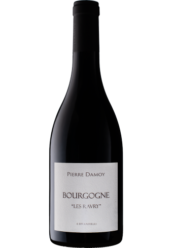 PIERRE DAMOY - Domaine Pierre Damoy Bourgogne Rouge Les Ravry 2021