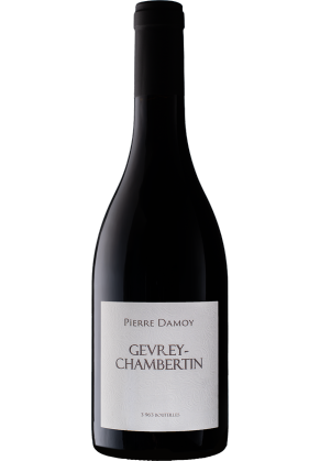 PIERRE DAMOY Domaine Pierre Damoy Gevrey Chambertin 2021 image
