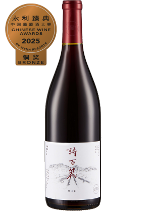 CHAPTER AND VERSE Chapter And Verse Mastery Pinot Noir 2019
