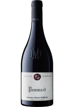 Michel Noellat Michel Noellat Pommard 2021