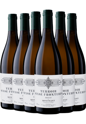 TERROIR S. FRONTERES Terroir Sense Fronteres Brisat White 2022 - 6 Bottle Pack