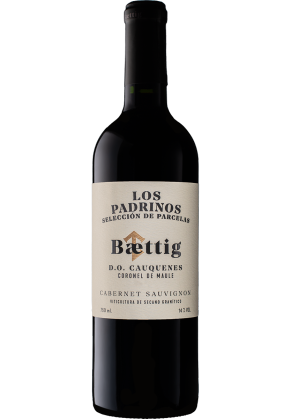 Baettig Baettig Cabernet Sauvignon Los Padrinos D.O. Maule 2022