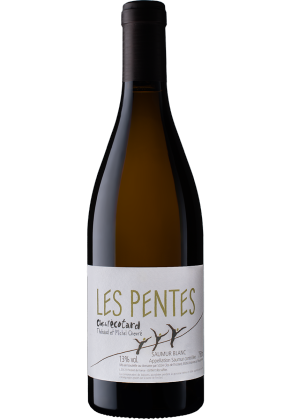 CLOS DE L'ECOTARD Clos de l'Ecotard Les Pentes Saumur Blanc 2021