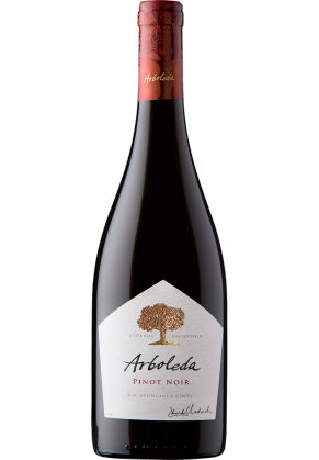 Arboleda Arboleda Pinot Noir 2023 image