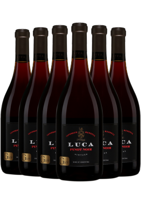 Luca Luca G Lot Pinot Noir 2023 6-pack (Limited time offer item – other promotion offers and W Rewards are not applicable)