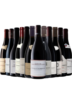 WW WW Walk Around Gevrey Chambertin