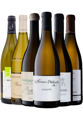 Watson's Wine WW Mix Case Aligote 6 Producers