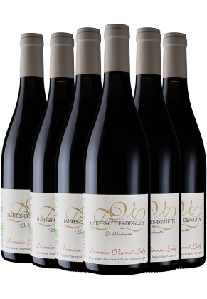 VINCENT LEDY Vincent Ledy Bourgogne Hautes Cotes De Nuits La Vacherotte 2019 - 6 Bottle Pack