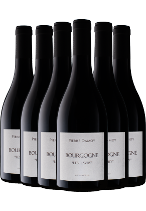 PIERRE DAMOY Domaine Pierre Damoy Bourgogne Rouge Les Ravry 2021 - 6 Bottle Pack