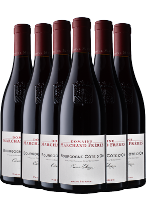 Domaine Marchand Freres Domaine Marchand Freres Bourgogne Cote D'or Rouge 2022 - 6 Bottle Pack
