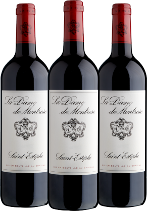 DAME MONTROSE La Dame De Montrose St Estephe 2nd Wine 2014 - 3 Bottle Pack (Limited time offer item – other promotion offers and W Rewards are not applicable)