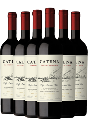CATENA Catena Mendoza Cabernet Sauvignon 2024 6-pack