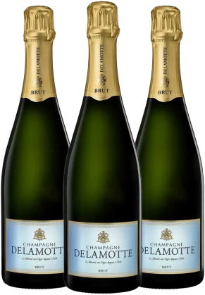 Delamotte Delamotte Brut Nv - 3 Bottle Pack (Limited time offer item – other promotion offers and W Rewards are not applicable)