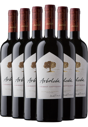 Arboleda Arboleda Cabernet Sauvignon 2022 6-pack