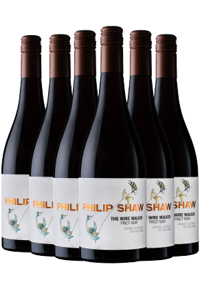 PHILIP SHAW Philip Shaw The Wirewalker Pinot Noir 2024 - 6 Bottle Pack