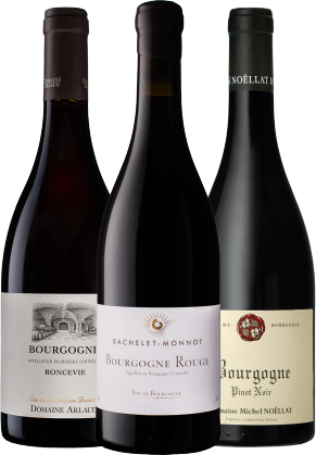 Watson's Wine WW Bourgogne Pinot Noir Mixed 3 Bottle Pack image