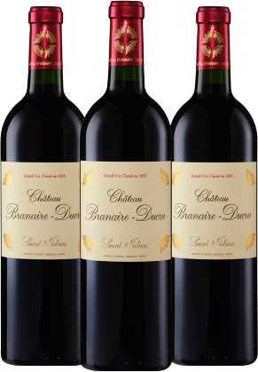 Chateau Branaire-Ducru Chateau Branaire-Ducru St Julien 4eme Cru 2021 - 3 Bottle Pack (Limited time offer item – other promotion offers and W Rewards are not applicable)