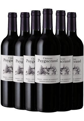 Chateau Puygueraud Chateau Puygueraud Francs Cotes De Bdx 2021 6 pack image