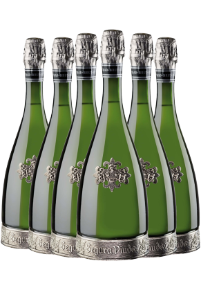 Segura Viudas Segura Viudas Cava Do Reserva Heredad 6 Bottle Pack image