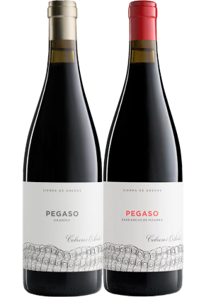 Pegaso Pegaso Granito+Pizarra 2021 - Twin Pack