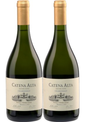 Catena Zapata Catena Zapata Catena Alta Chardonnay 2022 2 pack image