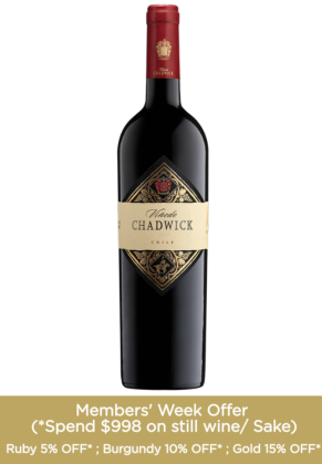 VINEDO CHADWICK Vinedo Chadwick Vintage 2009 (2024 Release) image