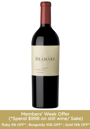 Vina Cobos Vina Cobos Bramare Chanares Estate Malbec 2017 image
