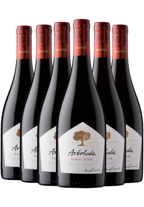 Arboleda Arboleda Pinot Noir 2023 6-pack