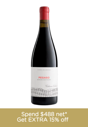 PEGASO Pegaso Pizarra Garnacha 2022