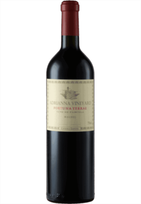 Catena Zapata Catena Zapata Adrianna Vineyard Fortuna Terrae Malbec 2017 image