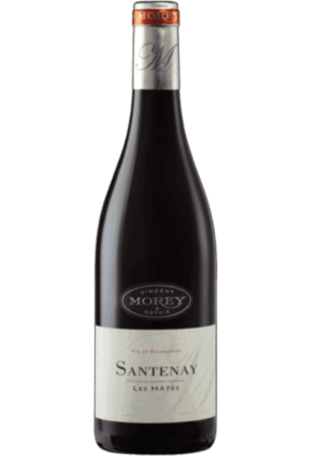 Vincent & Sophie Morey Domaine Vincent & Sophie Morey Santenay Les Hates Blanc 2019