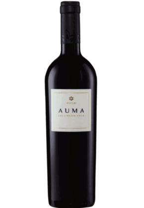 Koyle Koyle Auma 2015