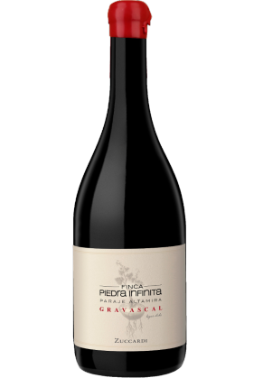 Zuccardi Zuccardi Finca Piedra Infinita 2017 (clearance Sale Item – Other Promotion Offers And W Rewards Are Not Applicable) image