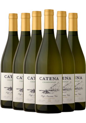 Catena Zapata Catena Zapata Mendoza Chardonnay 2023 6 pack image